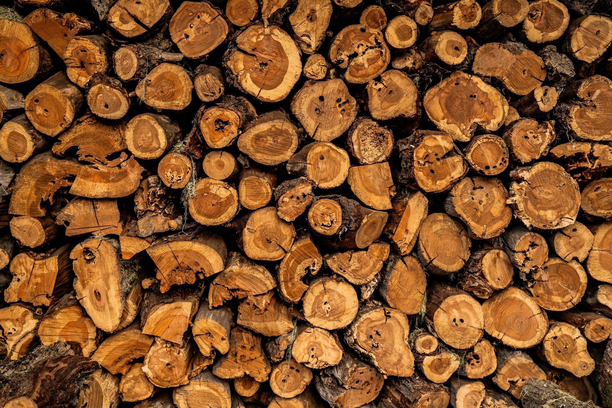 Close-up pile of split firewood