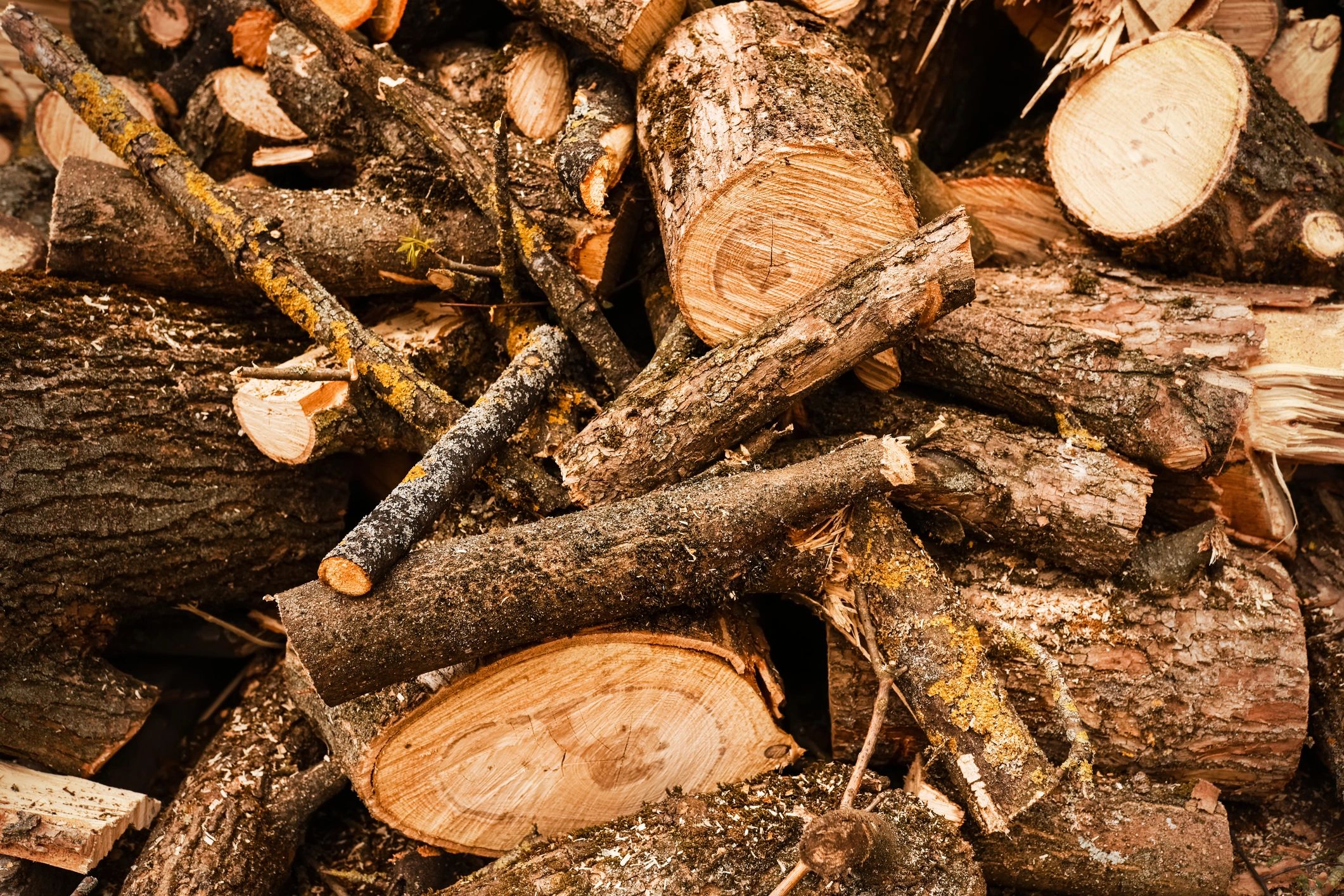 Rustic woodpile of logs and branches